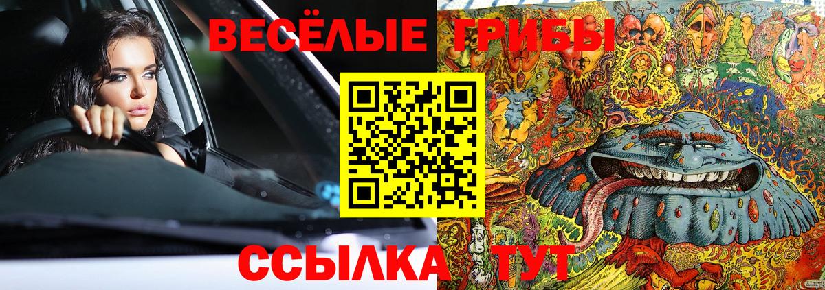 Магадан  Псилоцибиновые грибы ЛСД  Вход с VPN  Галлюциногенные грибы MAGIC MUSHROOMS 
