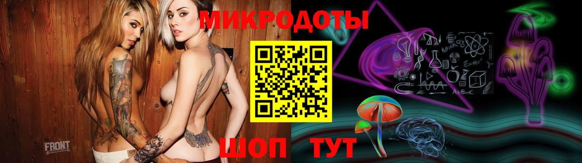 Галлюциногенные грибы Psilocybe Магадан